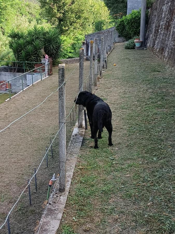 Da Ange E Bru Villa Sestri Levante Exterior foto